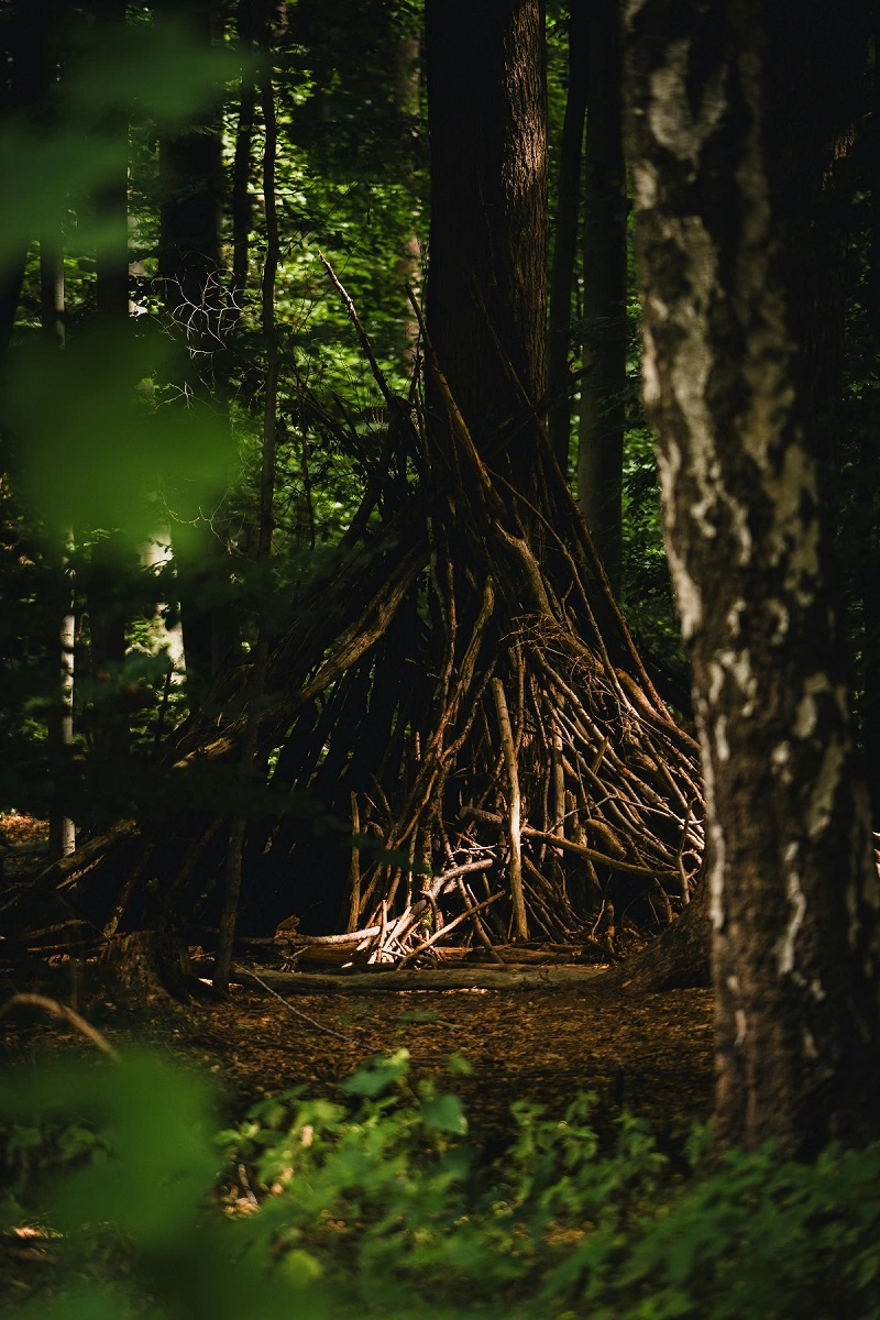 Group camping in Ngubi forest