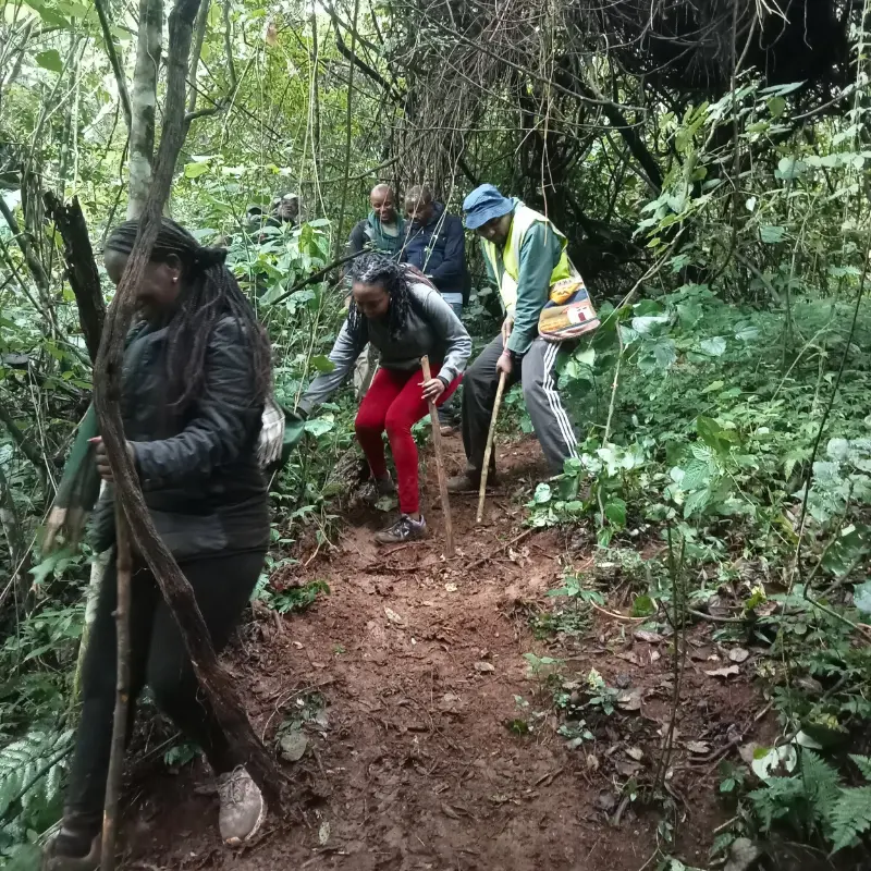 Hiking and conservation challenge