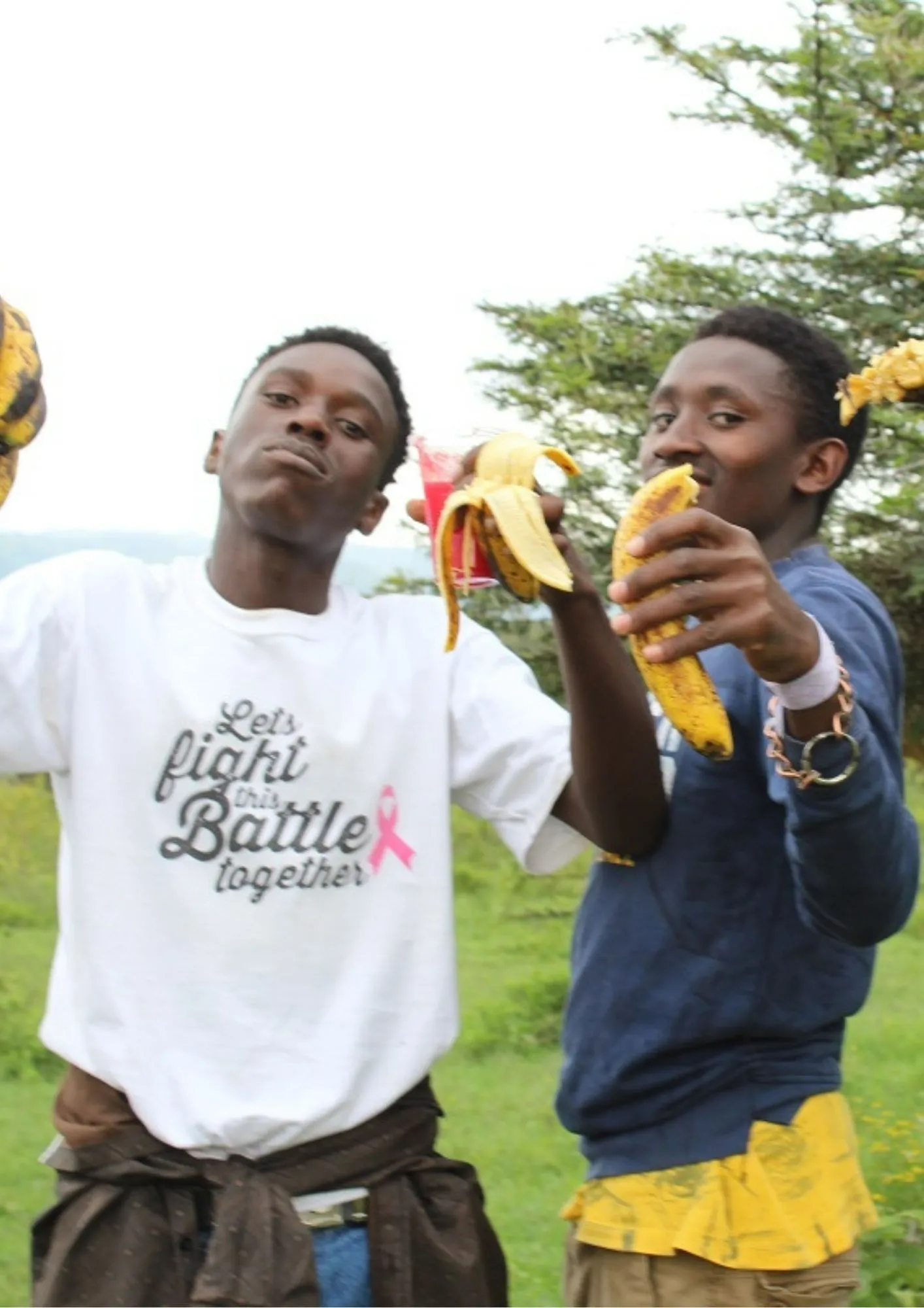 Ecosystem Discoverers Program