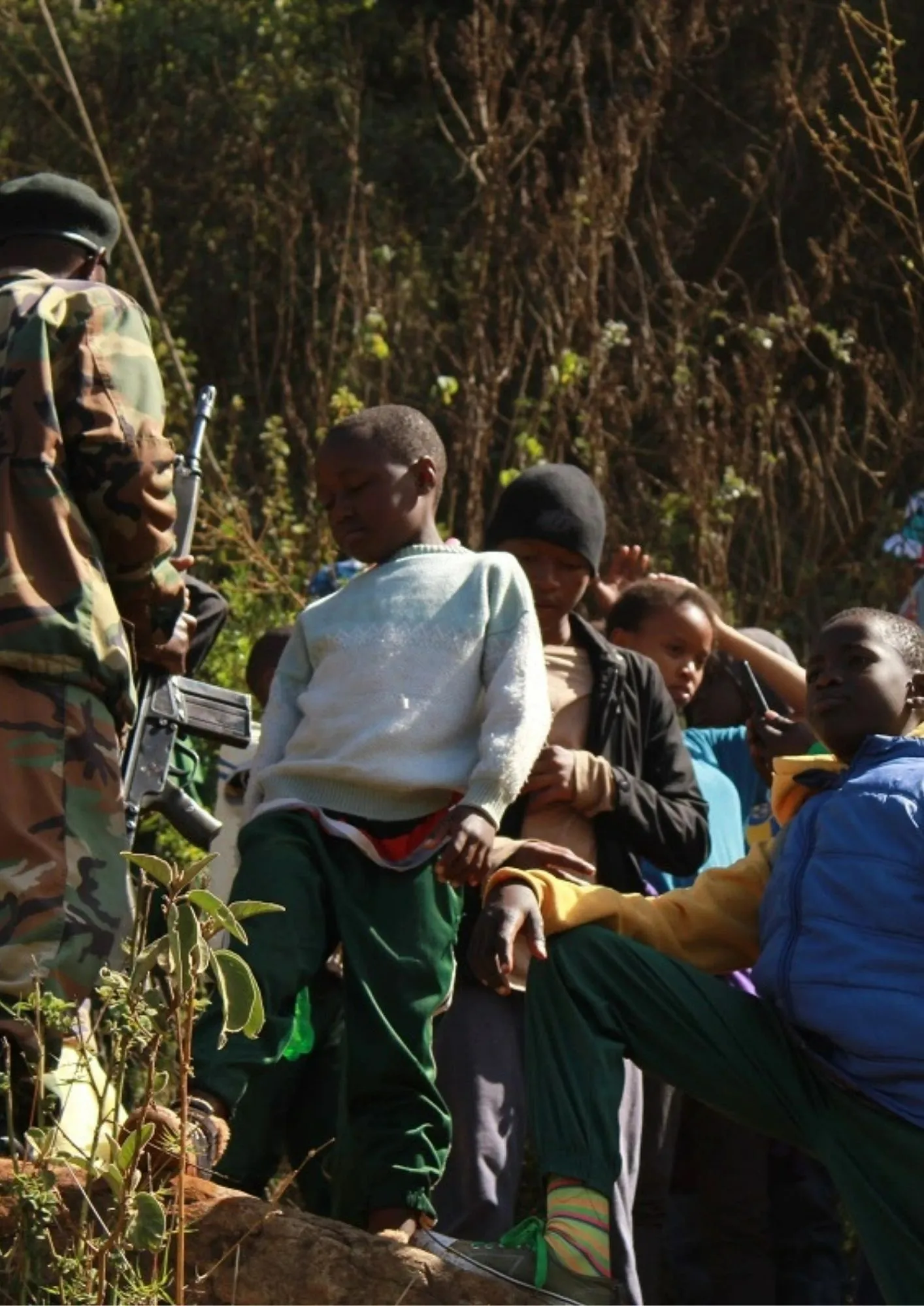 Junior Forest Explorers Program