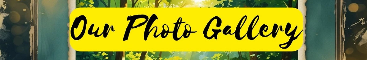 Our Photo Gallery - Moments of Adventure!