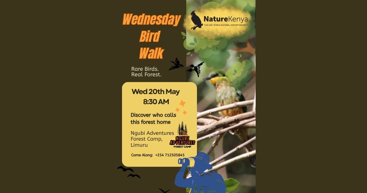 Birding with Nature Kenya