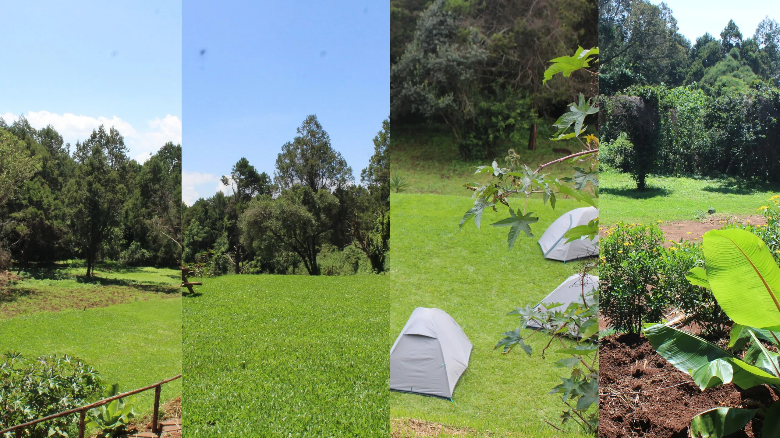 Ngubi Forest Camp