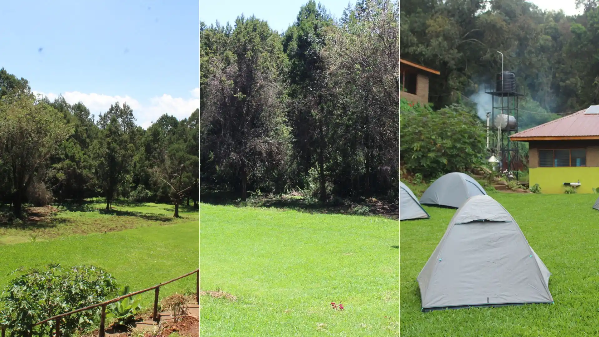 Ngubi Forest Camp