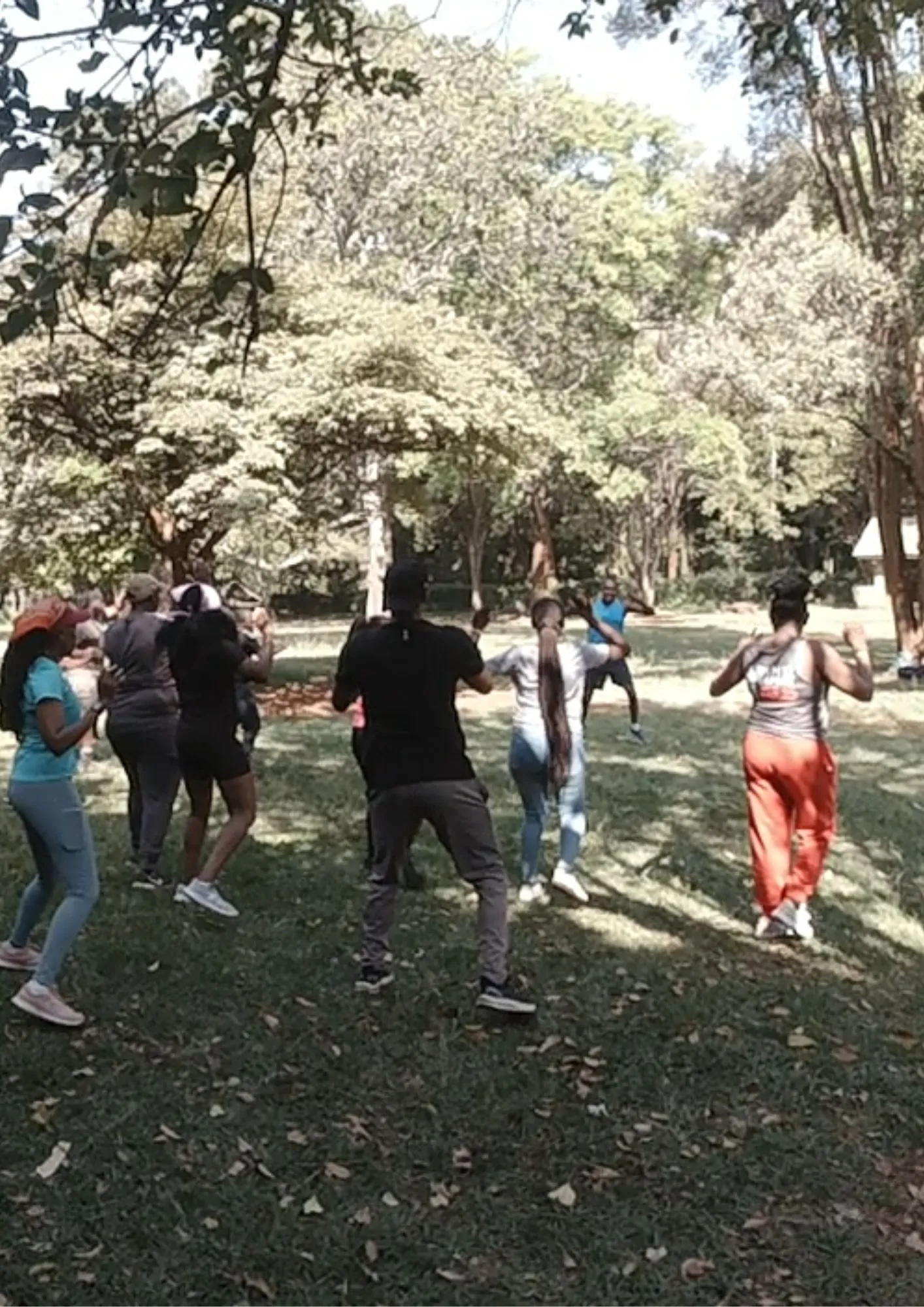 Group on obstacle course