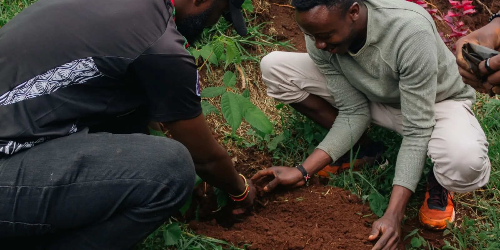Tree planting with guests at Ngubi Forest